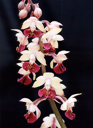 �L�T���d�@���@�n���g