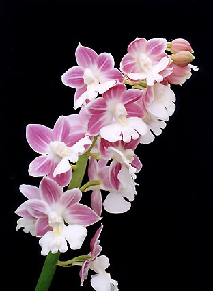 �X���K�@���@�t�W