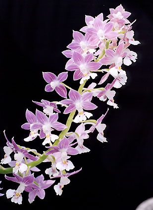 �t�W�@���@�V�R�N