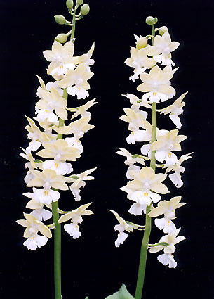 �q�S�@���@�^�J�l