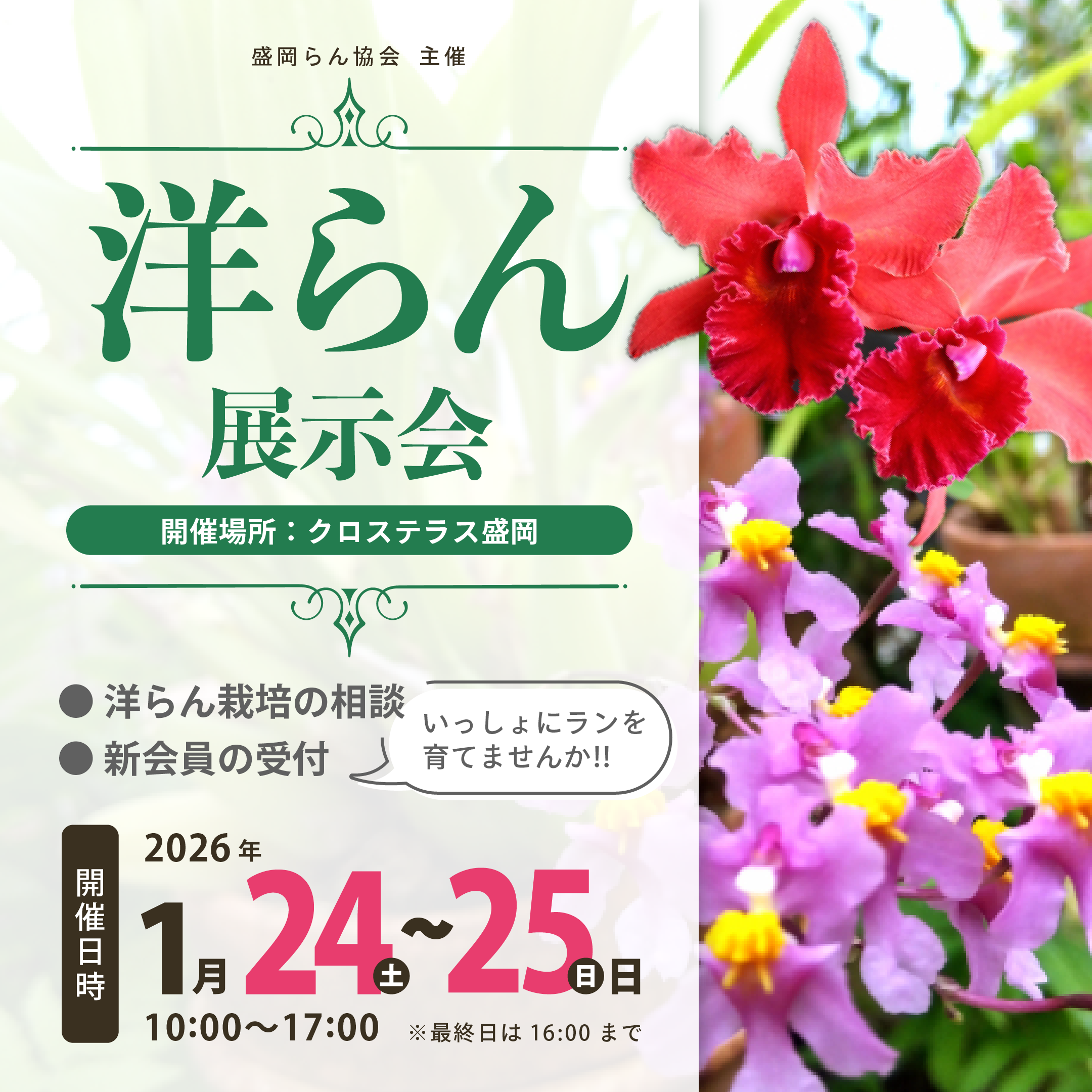 ������񋦉� �W����