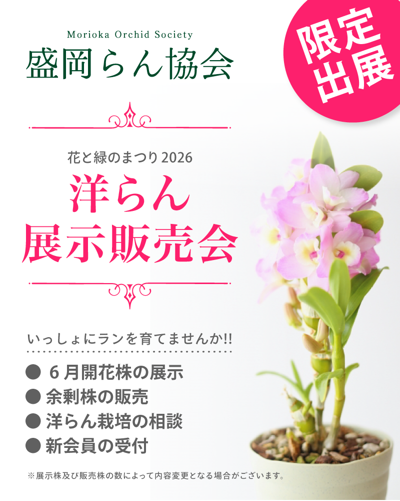 ������񋦉� �W����